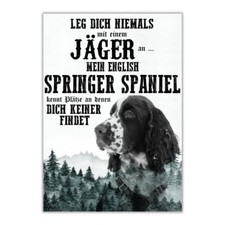Schild springer spaniel - springer, dog
