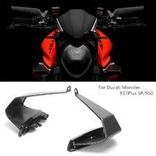 Motorrad Carbon Winglet
