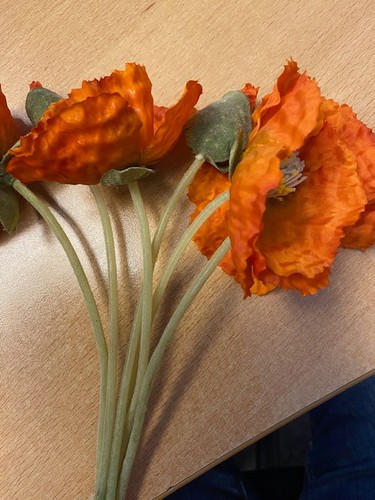Mohn blüten orange stück - mohn,