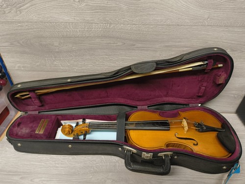Volle größe violine albert - violine,