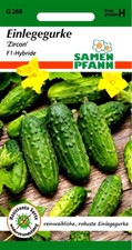 Einlegegurke Zircon (F1) - reinweiblich, robust und resistent - Gurken Samen