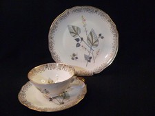 Retsch & Co. Wunsiedel schönes Sammelgedeck 3tlg.  Sammeltasse m Blumendekor