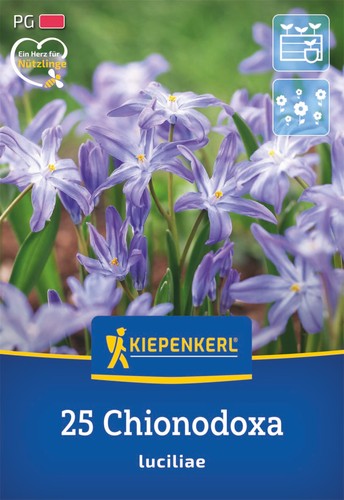Kiepenkerl schneeglanz 25 - schneeglanz, –