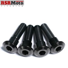 Suzuki RGV250 Titan Hintere