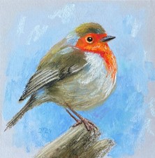 Rotkehlchen Original Pastell