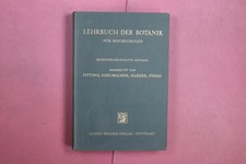 398429 Eduard Strasburger LEHRBUCH DER BOTANIK Gustav Fischer Verlag Für