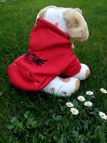 Hundepullover 22cm ca - hundepullover, 22cm,