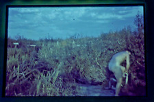 WK2 - Farb Dia color slide -