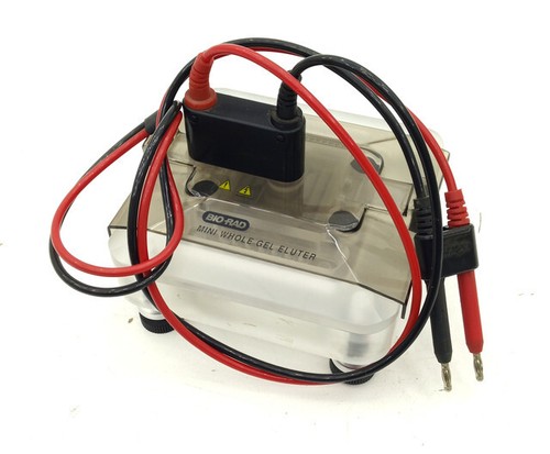 Bio rad mini whole gel - bio-rad,