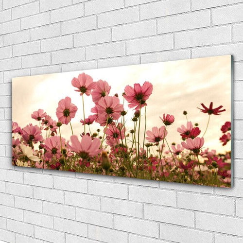 Acrylglasbilder wandbilder aus - wandbilder,