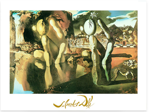 Salvador dali la metamorfosi - salvador,