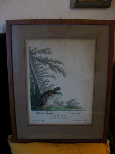 Ridinger johann elias - ridinger,,