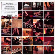 Wild Beasts / LAST NIGHT ALL MY DREAMS CAME TRUE (2LP+MP3) / DOMINO RECORDS / D