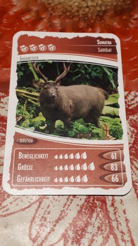 Ozeanien schätze unseres - ozeanien,