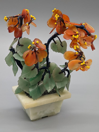 Asiatischer edelstein bonsai - asiatischer,