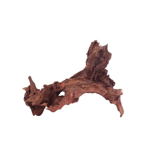 Driftwood flußwurzel - m,