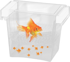 Zuchtbox Für Aquarium -