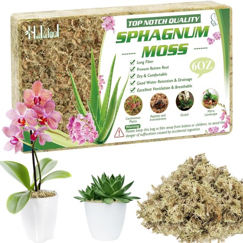Sphagnum moos 170g torfmoos - sphagnum, 170g,
