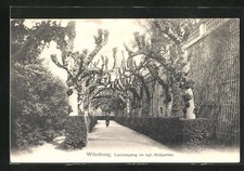 Ansichtskarte Würzburg, Laubengang im kgl. Hofgarten 