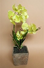 ORCHIDEE PHALAENOPSIS KUNSTORCHIDEE BLUME KERAMIKTOPF BLÜTEN GELB WEISS LILA ROT