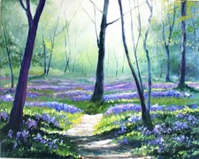 Bluebell walk wildflowers - bluebell,