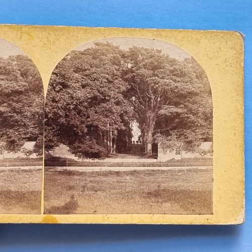 Stereoview karte echtfoto - stereoview,