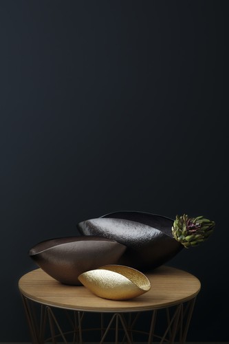 Leonardo como design - leonardo, design-schale