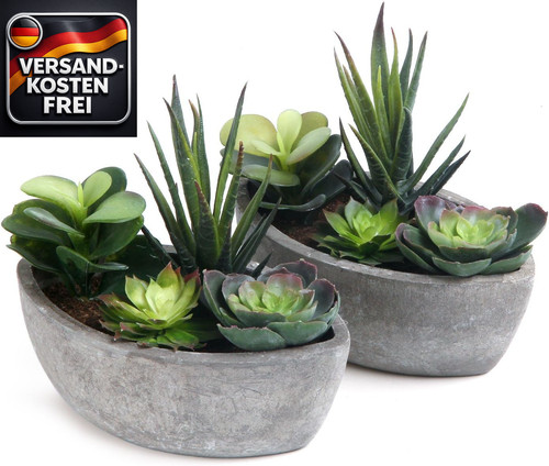 Künstliche sukkulenten set - künstliche,