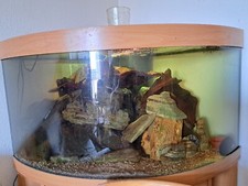 Juwel rio vision eck aquarium - rio,