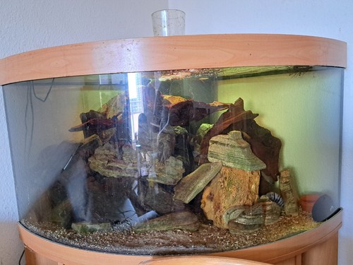 Juwel rio vision eck - rio, eck-aquarium