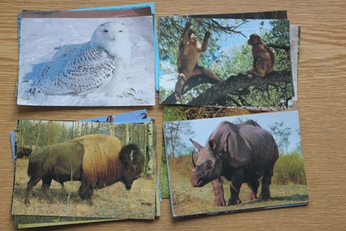 Sammelbilder serie penny - sammelbilder,