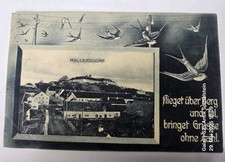 AK Bayern Oberhaselbach Pfaffenberg Mallersdorf Schwalben Karte 1902