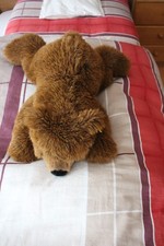 Steiff Teddy URS sehr gut