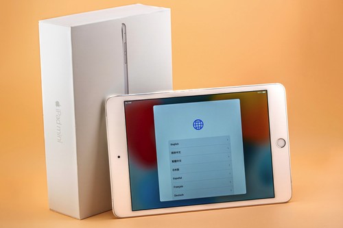 Apple ipad mini - ipad,