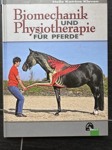 Biomechanik physiotherapie - biomechanik,
