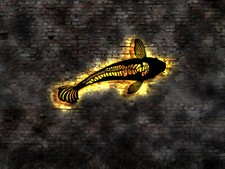 LED Wandschild Koi Fisch Karpfen Reich Geschenkidee Bild Neon Logo Emblem T-Shirt
