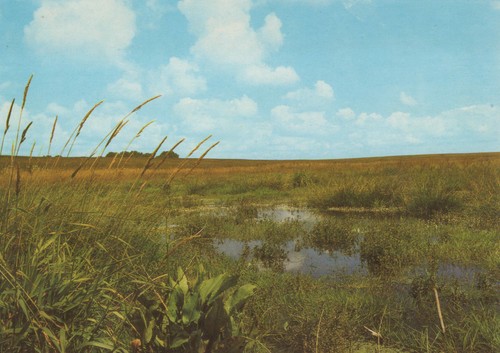 Ddr postkarte moorlandschaft - ddr,