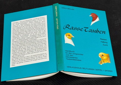Erich müller rassetauben - erich,