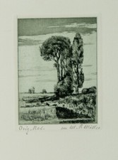 Martin Paul Müller/