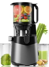 Entsafter, 400W Slow Juicer