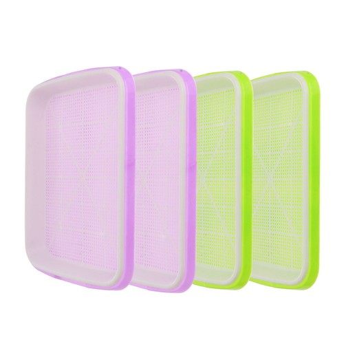 Set substratloser keimling - set,