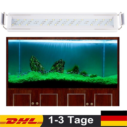 60cm led aquarium - 20-60cm,