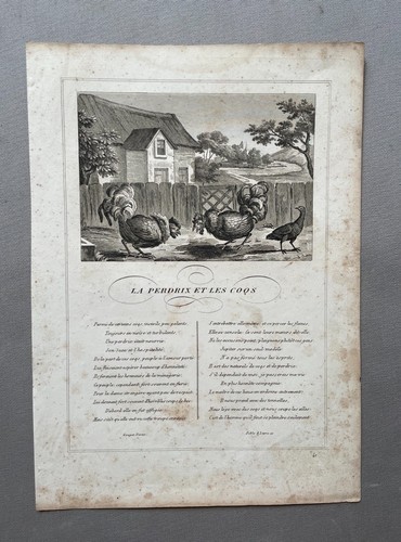 Das rebhuhn und die - und,