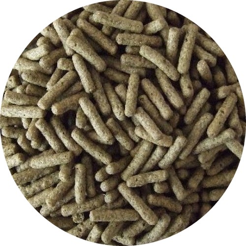 Fischfutter cichliden sticks - fischfutter,