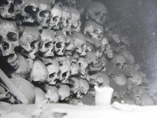 Totenköpfe Schädel Knochen