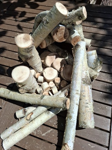 Holz birke lot - lot, für