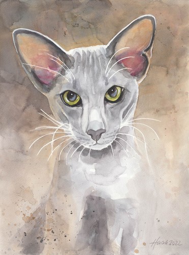 Original aquarell oriental - aquarell,,