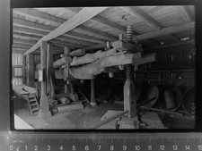 30029163 - 8993 Nonnenhorn Torbel Lindau LKR