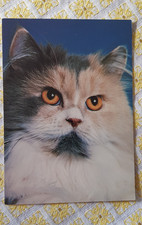 Katze AK, ungelaufen, Perser-Katze, blau-schildpatt, Printed in W.-Germany