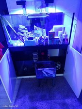 Red Sea Deluxe 425l Meerwasser Aquarium Mit Zahlreichen Einrichtungsgegenständen